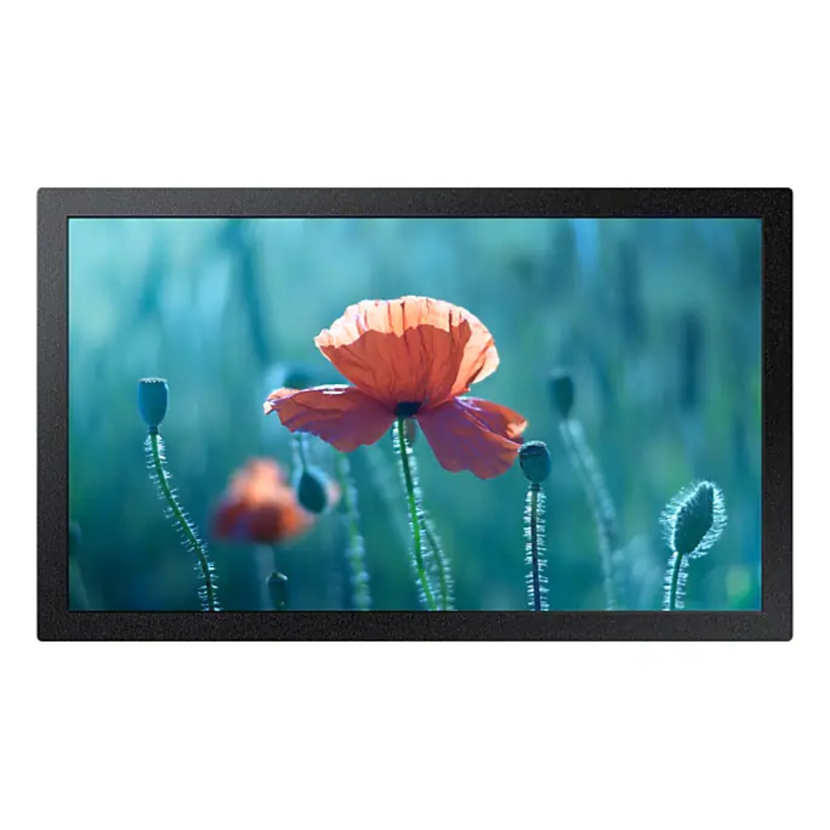 Samsung LH13QBRMBGCXUE