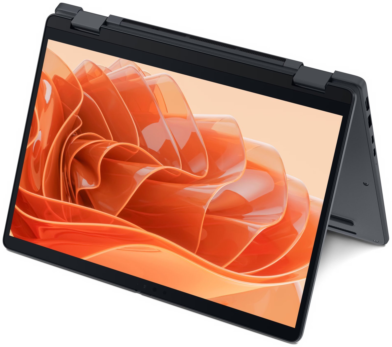 Dell P703265