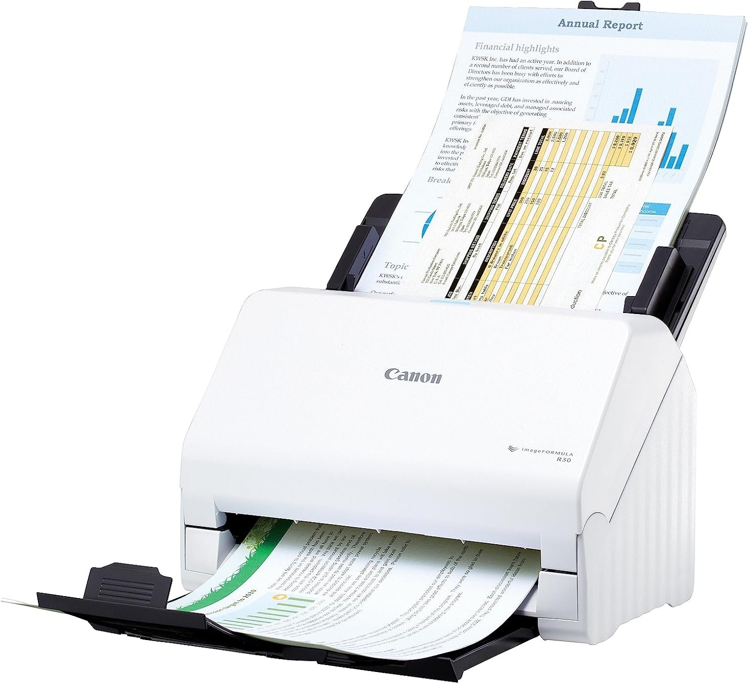 Canon R30